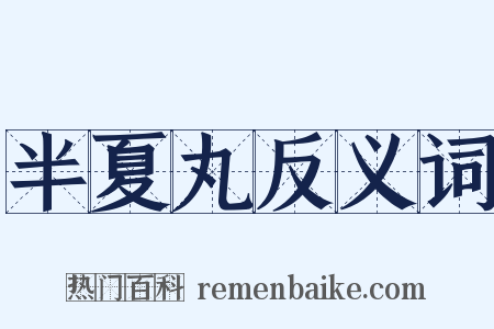 半夏丸反义词是什么意思的图片